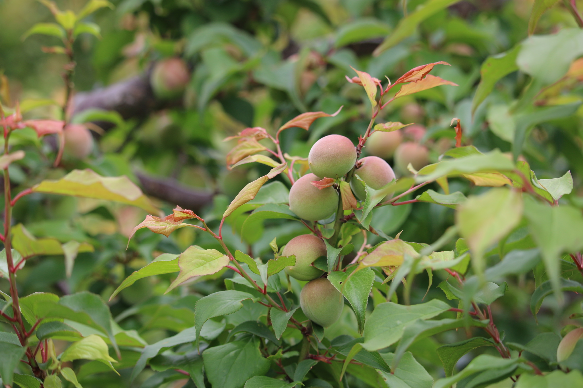 3972CC86-400F-4E36-A4FA-15282CDBE16F