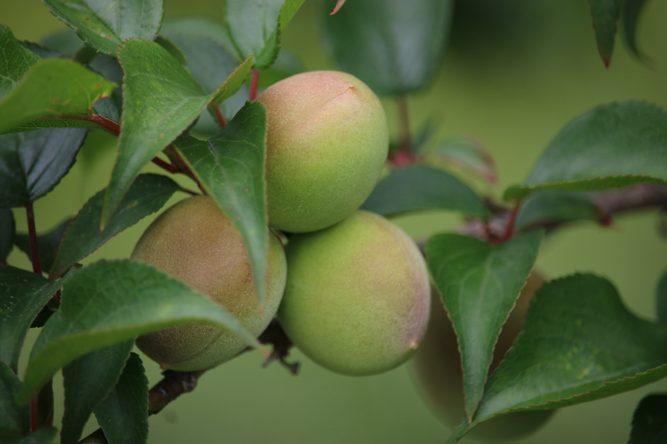 ED34D969-5967-45B3-BA59-8B9938976B26