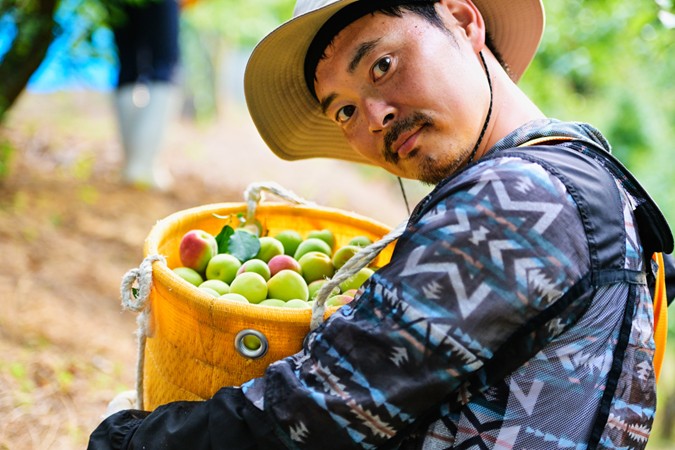 果物狩りで収穫した新鮮なリンゴ