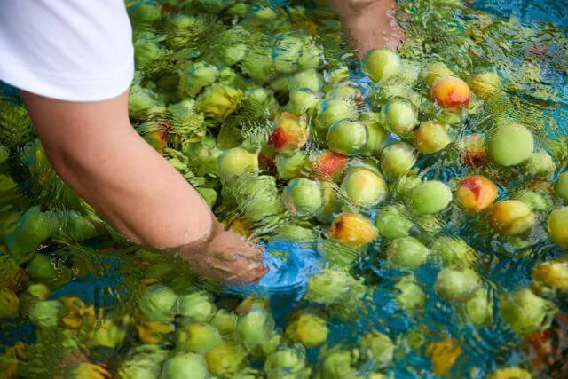 水中に浸かったリンゴを洗う手