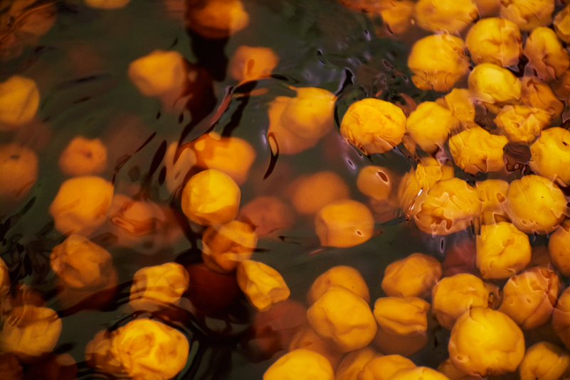 水中で漂う黄色い果実